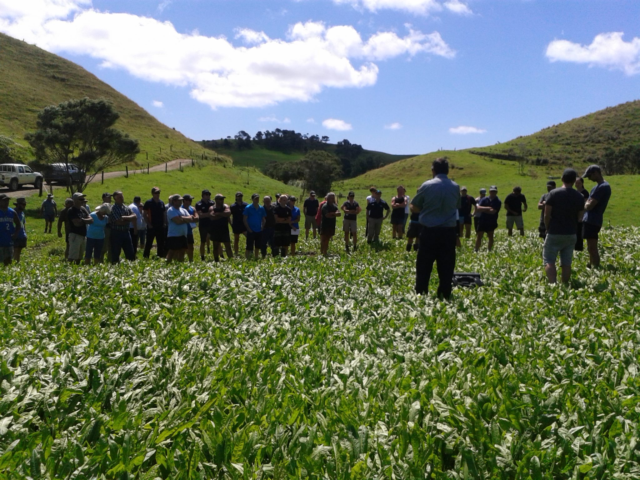 Partner Farm Project Northland Dairy Development Trust